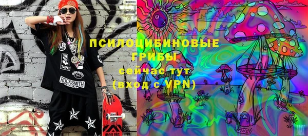 Альфа ПВП Кукмор